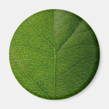 Green Leaf Fridge Magnets