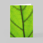 Green Leaf greeting card cards