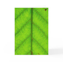 Green Leaf Greeting Card
