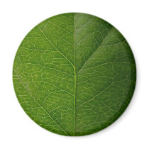 Green Leaf Fridge Magnets