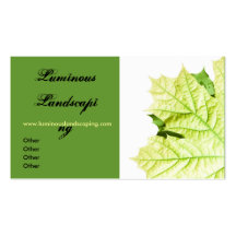 Green Leaf Motif Business Card