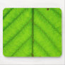 Green Leaf Mouse Pad