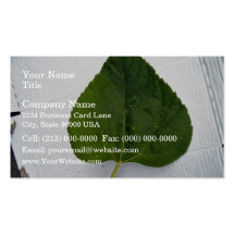 Green Leaf on white background Business Card Templates