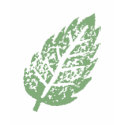 Green Leaf  Shirt