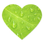 Green leaf sticker