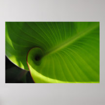 Green Leaf Swirl Print