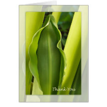 Green Leaf Thank You Note Card