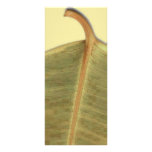 Green Leave Rack Card