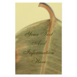 Green Leave Stationery