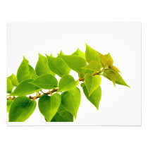 Green leaves invitations