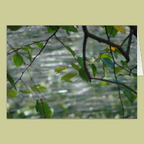 Green Leaves of Hope cards