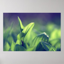 Green Leaves Posterdruck