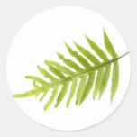 Green leaves round stickers