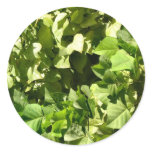 green leaves round sticker