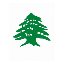 Green Lebanon Cedar Postcards