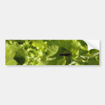 Green lettuce bumper stickers