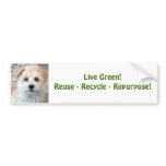 Green Living - Havanese Puppy Bumper Stickers