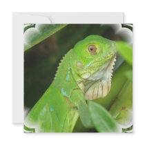 Green Lizard Invitation