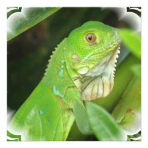 Green Lizard Invitation