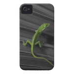 Green Lizard iPhone 4 Barely There Case Case-mate Iphone 4 Case