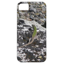 Green Lizard On A Rock. iPhone 5 Case