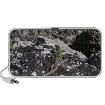 Green Lizard On A Rock. Laptop Speakers