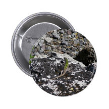 Green Lizard On A Rock. Pinback Button