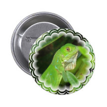 Green Lizard Round Button