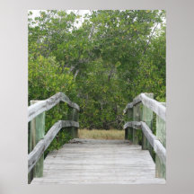 Green mangrove background, dock leading in poster