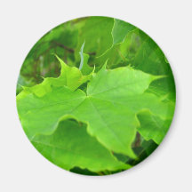Green Maple Fridge Magnet