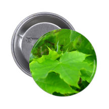 Green Maple Pinback Buttons