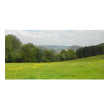 Green meadow. Countryside scenery. Photo Card Template