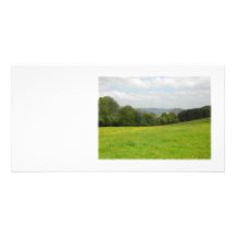 Green meadow. Countryside scenery. Picture Card