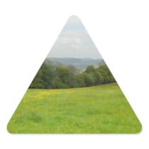 Green meadow. Countryside scenery. Triangle Stickers
