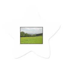Green meadow. Countryside scenery. Star Sticker