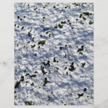 Green Moss Growing Over Snowy rock Surface Flyer