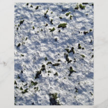 Green Moss Growing Over Snowy Surface Personalized Flyer