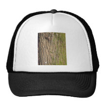 Green mossy wooden texture hats