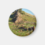 Green mountain ridge fridge magnets