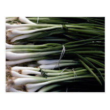 Green onions postcards