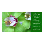 Green Orchids photo cards
