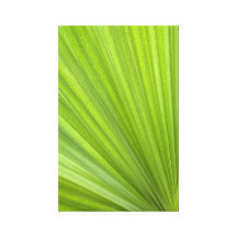 Green Palm Frond Wrapped Canvas Print