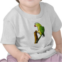 Green Parrot