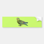 Green Parrot Bumper Sticker