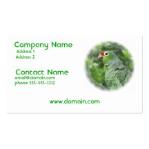 Green Parrot Business Card