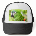 Green Parrot Hat 2