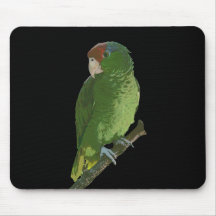 Green Parrot Mouse Pad