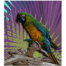 Green Parrot Photo Sculpture