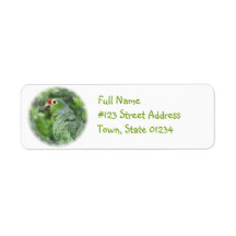 Green Parrot Return Address Label