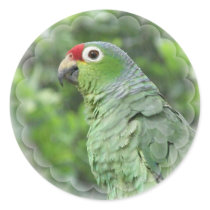 Green Parrot Sticker